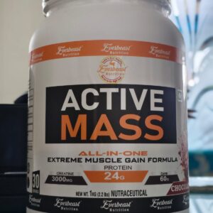 ACTIVE  MASS  GAINER  1 KG